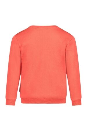 Sturdy truien & vesten Koraal 71600605