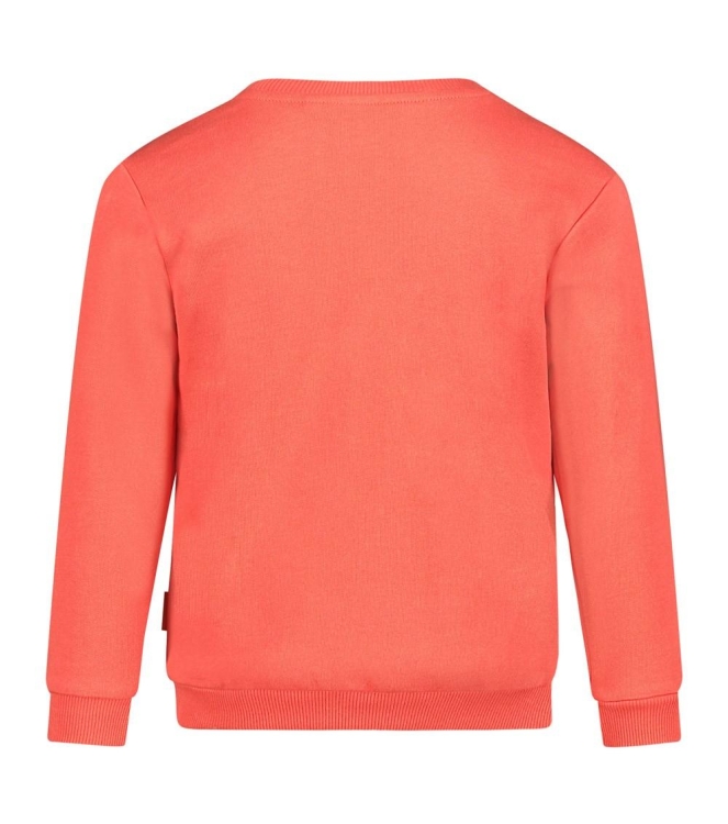 Sturdy truien & vesten Koraal 71600605