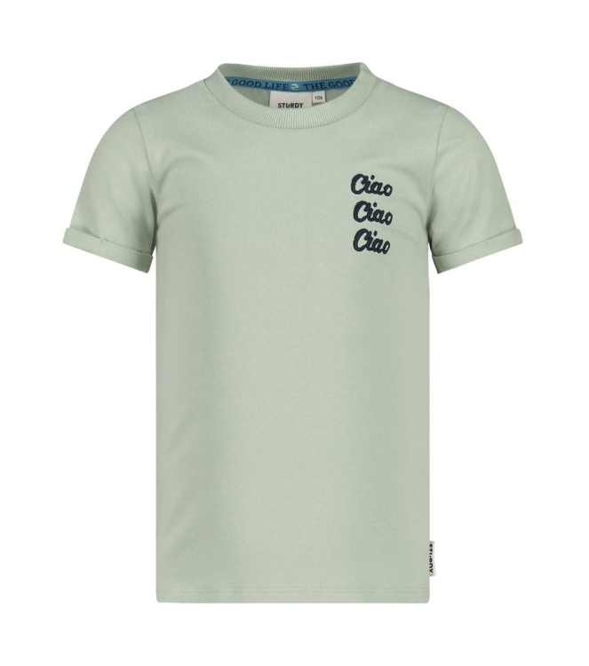 Sturdy shirts Mint 71700452