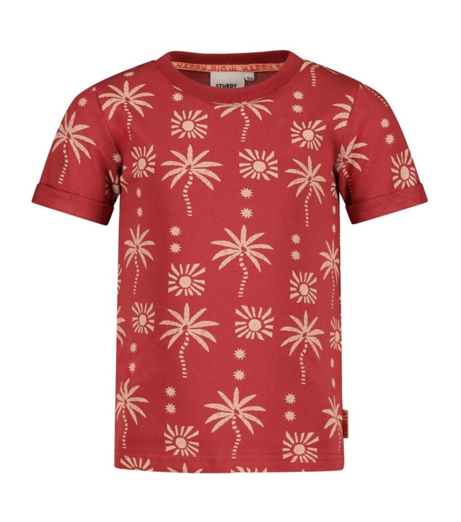 Sturdy shirts Brique 71700454