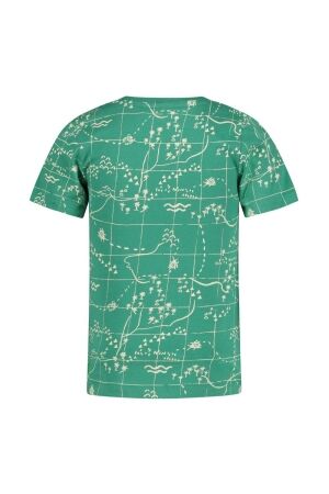 Sturdy shirts Groen 71700466