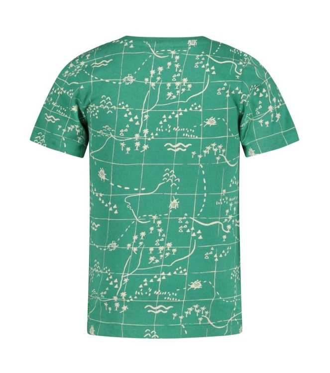 Sturdy shirts Groen 71700466