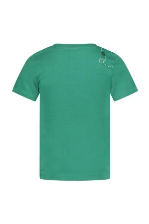 Sturdy shirts Groen 71700473