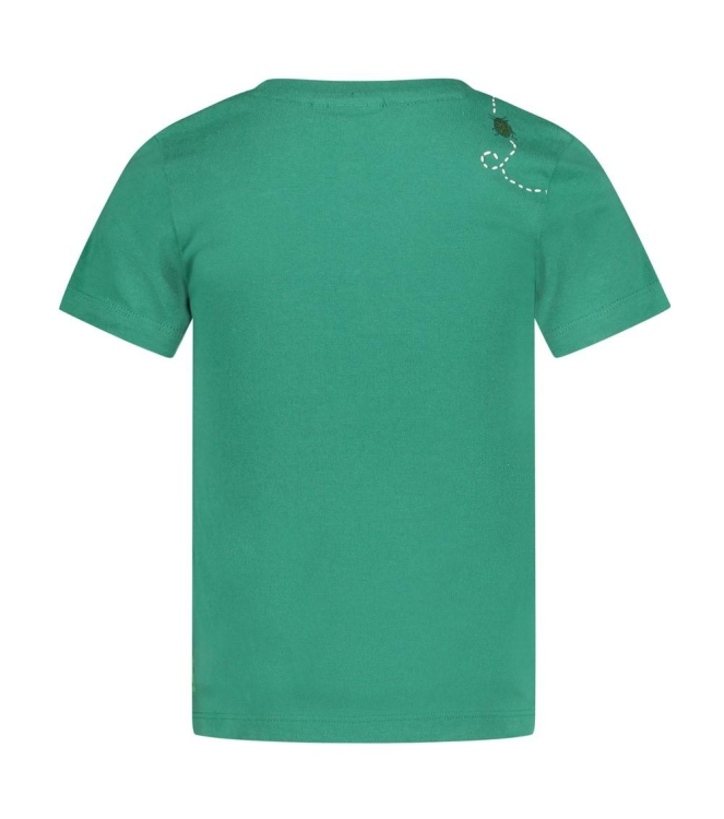 Sturdy shirts Groen 71700473