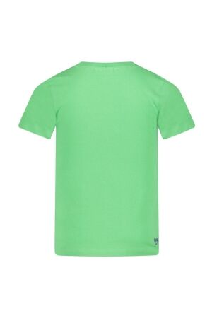 Sturdy shirts l.Groen 71700475