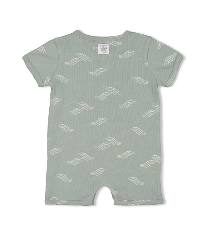 Feetje boxpakjes & rompers Zeegroen 51100086