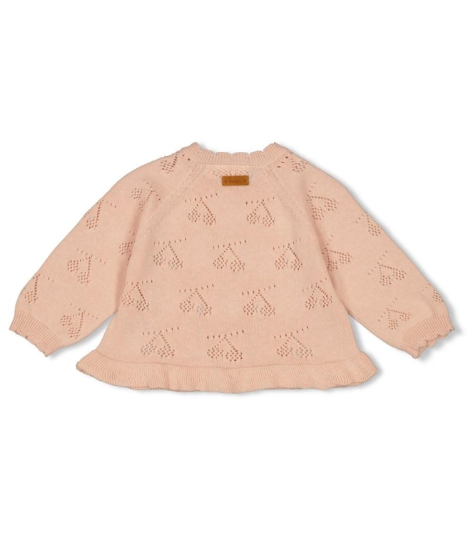 Feetje truien & vesten Roze 51300509