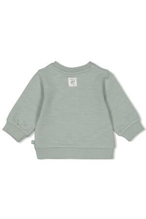 Feetje truien & vesten Zeegroen 51602484