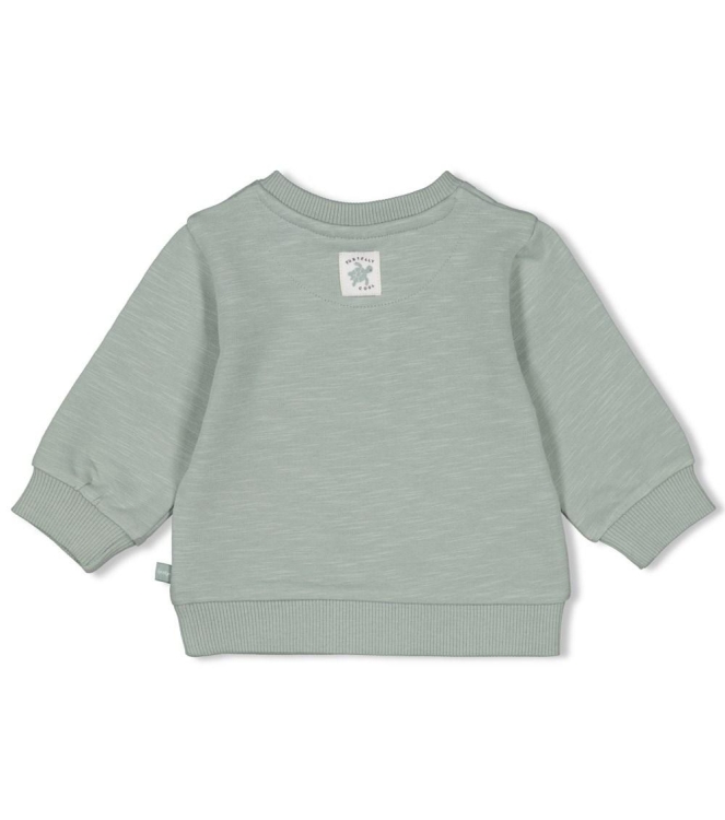 Feetje truien & vesten Zeegroen 51602484