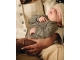 Z8-Newborn shirts Toffee/Chia seed Chai