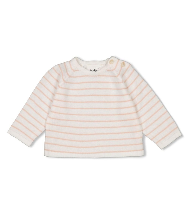Feetje truien & vesten Roze 51602547