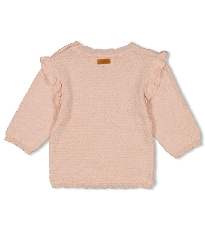 Feetje truien & vesten Roze 51602549