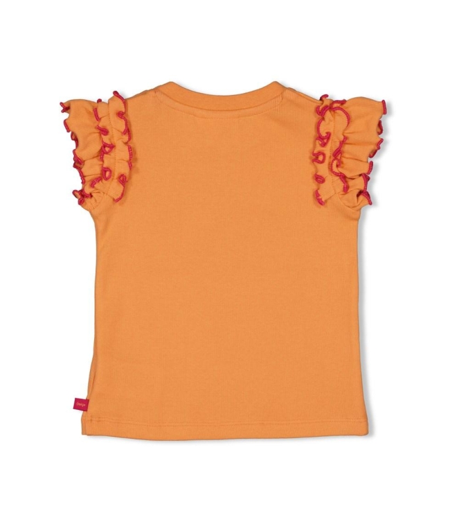 Feetje shirts Oranje 51700950