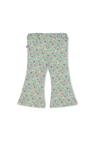 Feetje broeken Groen 52202342