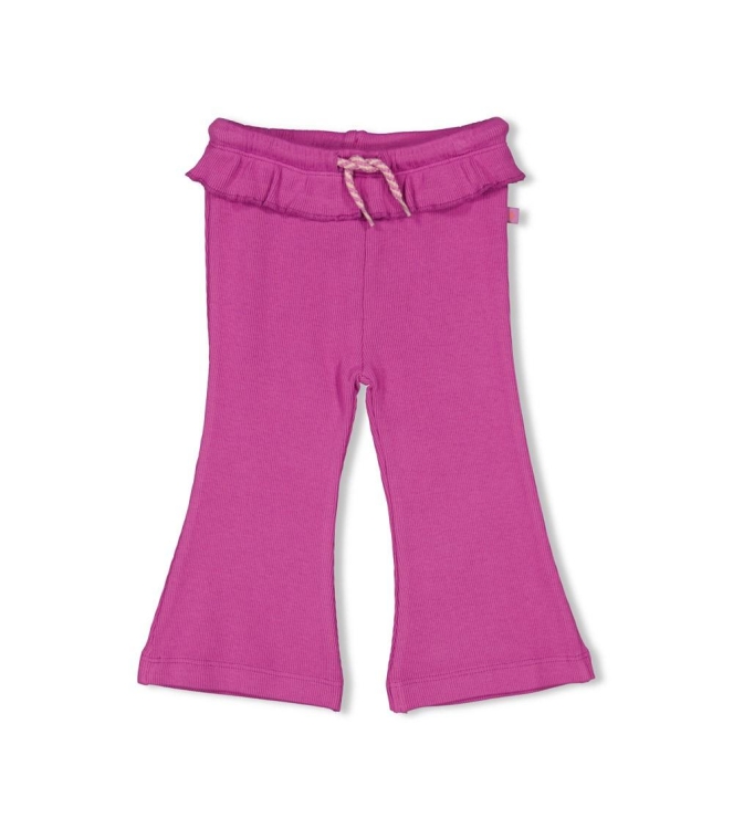 Feetje broeken Paars 52202343