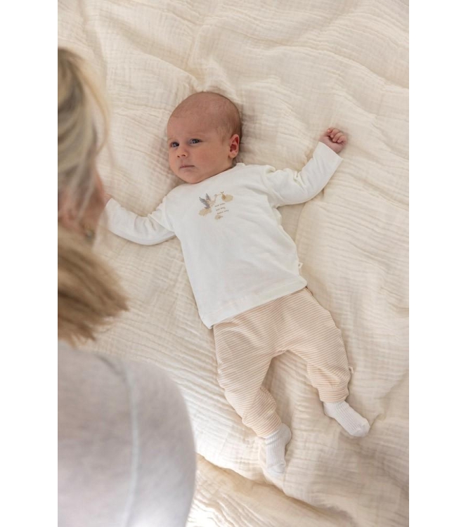 Feetje shirts Offwhite 51602501