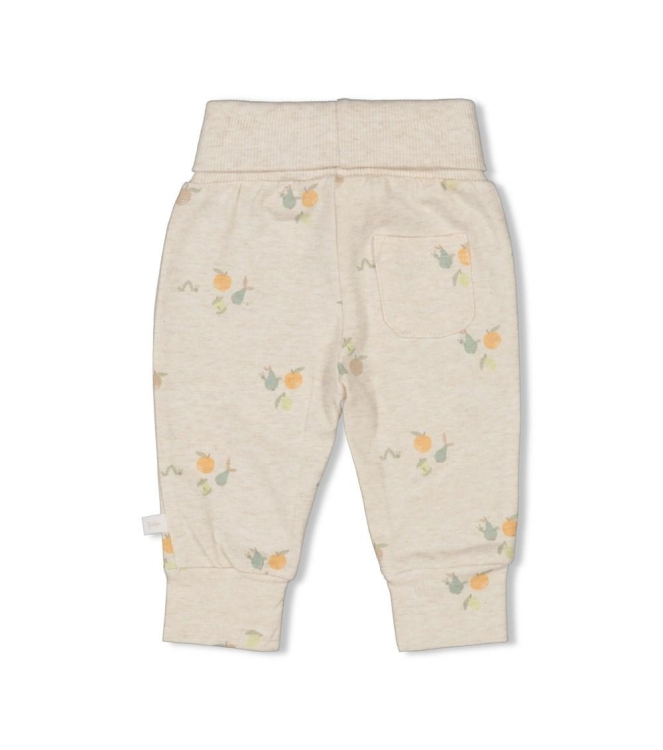 Feetje broeken Offwhite melange 52202289