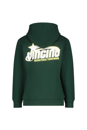 Vingino truien & vesten 1404 Racing green AW24KBN34017