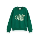 Scotch & Soda Kids truien & vesten 301 Dark Green 179472