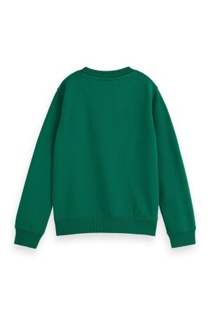 Scotch & Soda Kids truien & vesten 301 Dark Green 179472