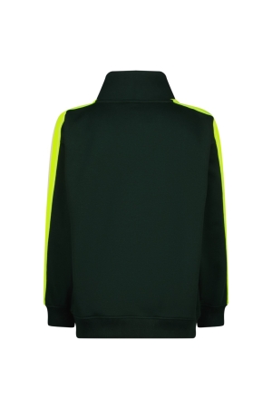 Vingino truien & vesten 1404 Racing green AW24KBN34019