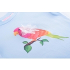 Someone shirts Light Blue SG02.251.58209