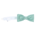 Gymp kledingaccessoires GN Green 720-5064-40