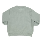 Gymp truien & vesten MI Mint 352-5347-20