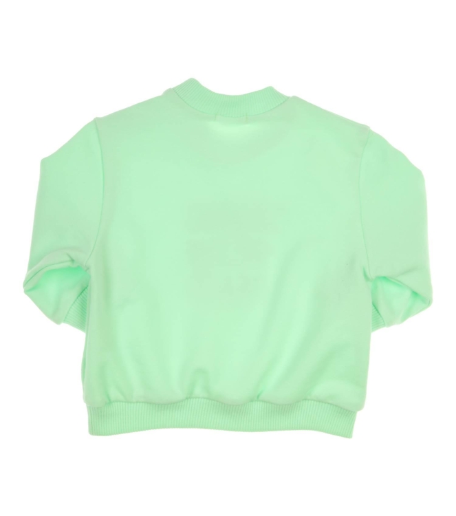 Gymp truien & vesten GN Green 352-5377-20