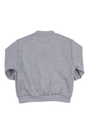 Gymp truien & vesten GSCHINE Grey Melange 352-5294-20