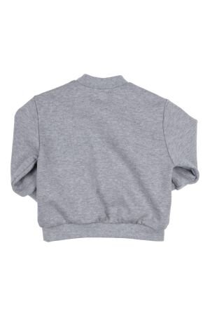 Gymp truien & vesten GSCHINE Grey Melange 352-5313-20