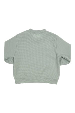 Gymp truien & vesten MI Mint 352-5347-20