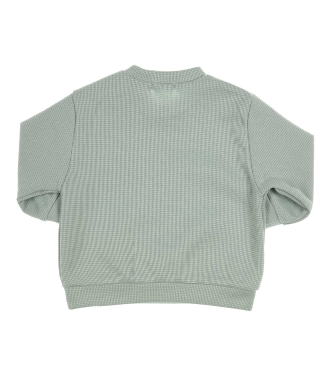 Gymp truien & vesten MI Mint 352-5347-20