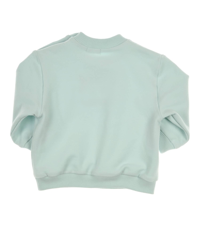 Gymp truien & vesten MI Mint 352-5378-20
