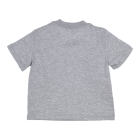 Gymp shirts GSCHINE Grey Melange 353-5393-20