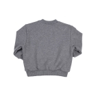 Gymp truien & vesten GSCHINE Grey Melange 352-4746-20