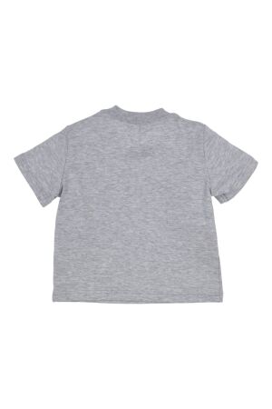 Gymp shirts GSCHINE Grey Melange 353-5393-20