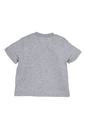 Gymp shirts GSCHINE Grey Melange 353-5434-20