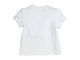 Gymp shirts VR Old Rose 353-5277-10