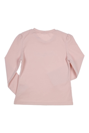 Gymp shirts VR Old Rose 352-4772-10