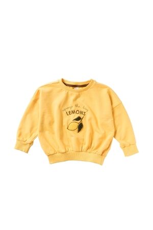Salted Stories truien & vesten 532 Golden Apricot SASS25-532NAF