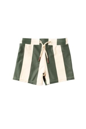 Salted Stories Wide Stripe Trunks 693 Bronze Green