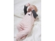 Feetje boxpakjes & rompers Roze 52500144