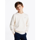 Tommy Hilfiger truien & vesten Ivory Petal KB0KB09346