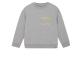 Daily7 truien & vesten 1220 Medium Grey Melange 920065