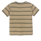 Daily7 shirts 9590 Desert Olive 920080
