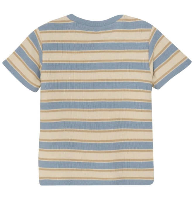 Daily7 shirts 7051 Ashley Blue 920080