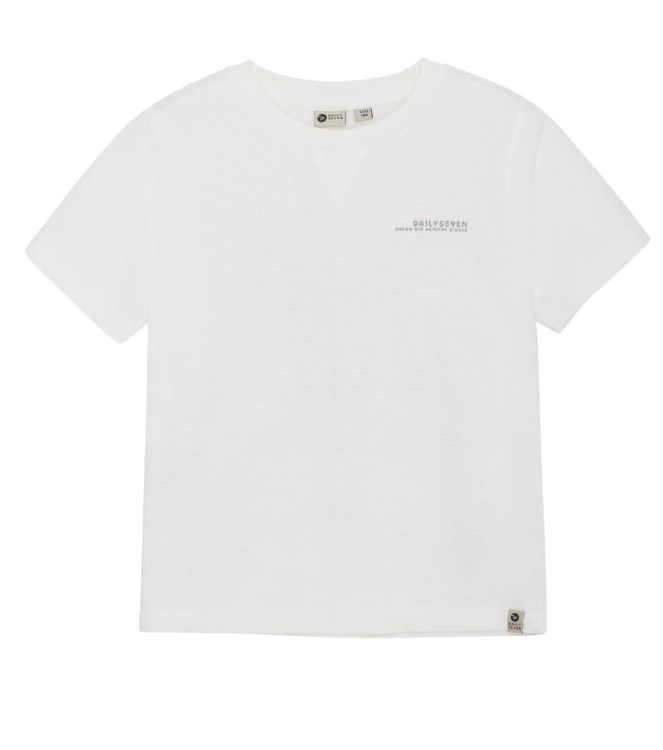 Daily7 shirts 1103 Cloud 920130