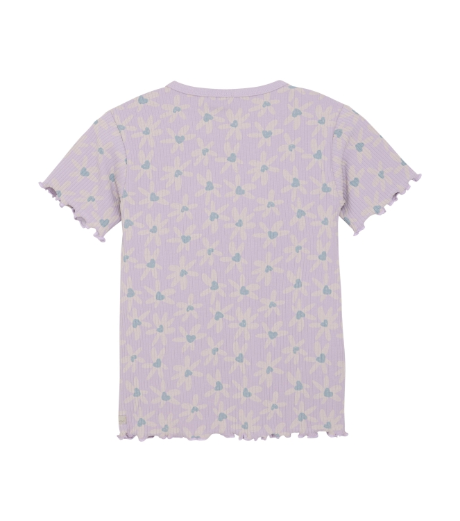 Daily7 shirts 6058 Dusty Lilac 930091