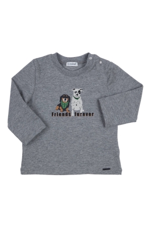 Gymp shirts GSCHINE Grey Melange 352-4915-20